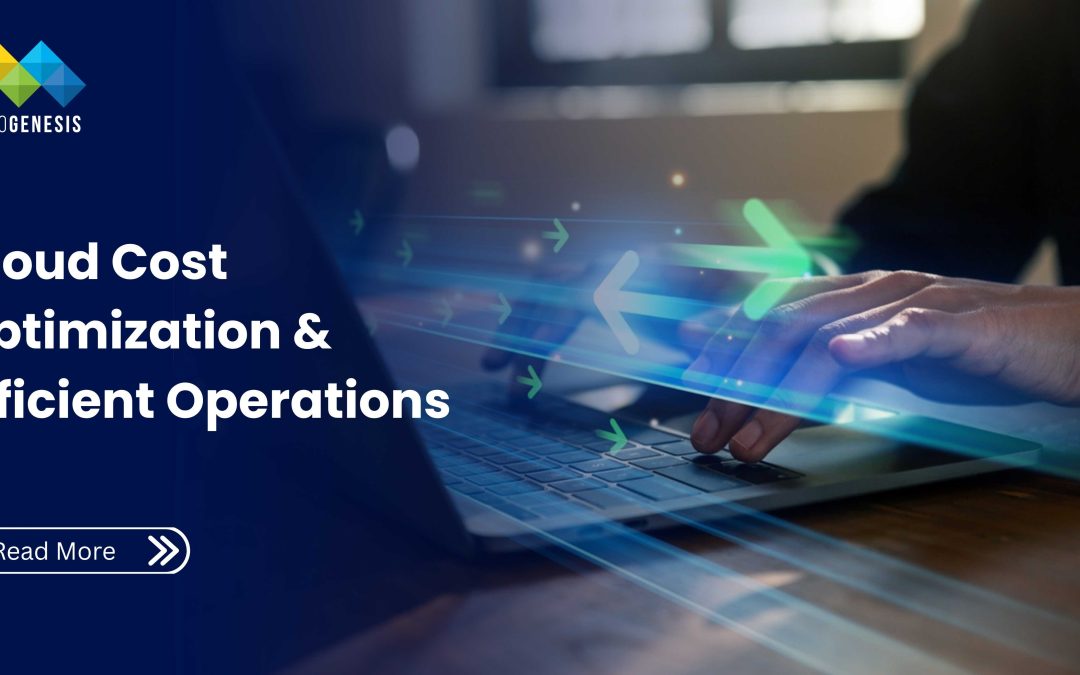 Cloud Cost Optimization & Efficient Operations