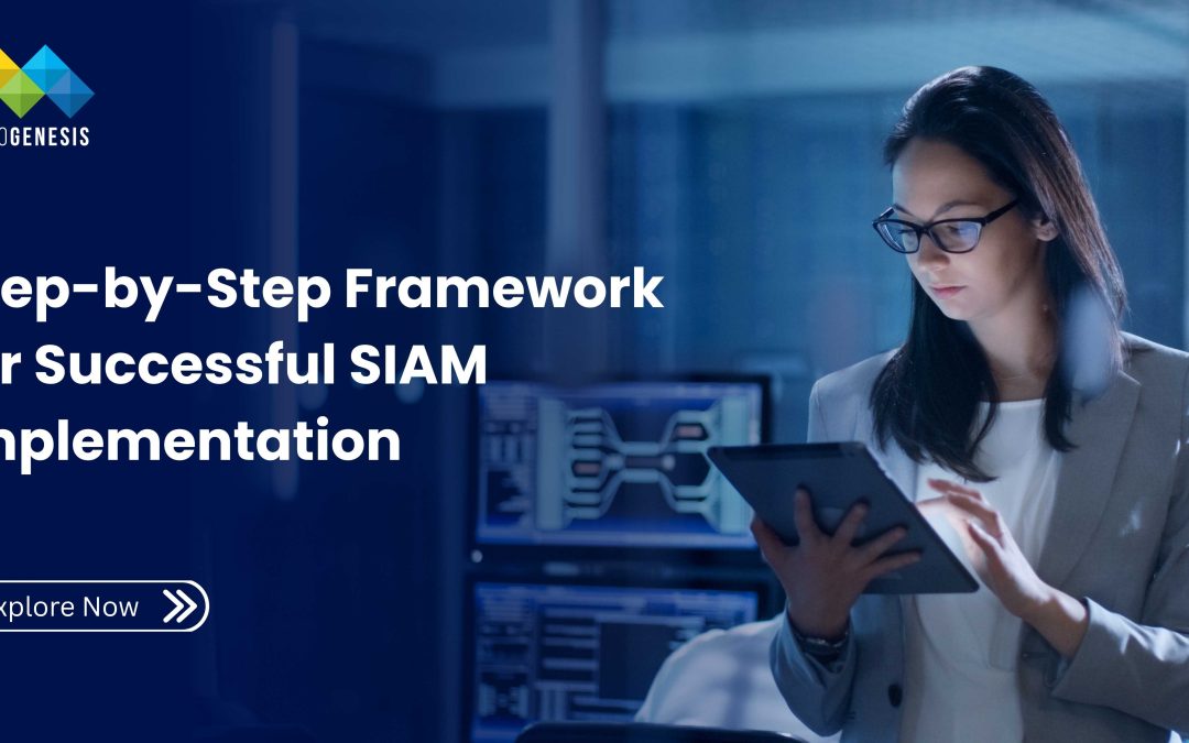 Step-by-Step Framework for Successful SIAM Implementation
