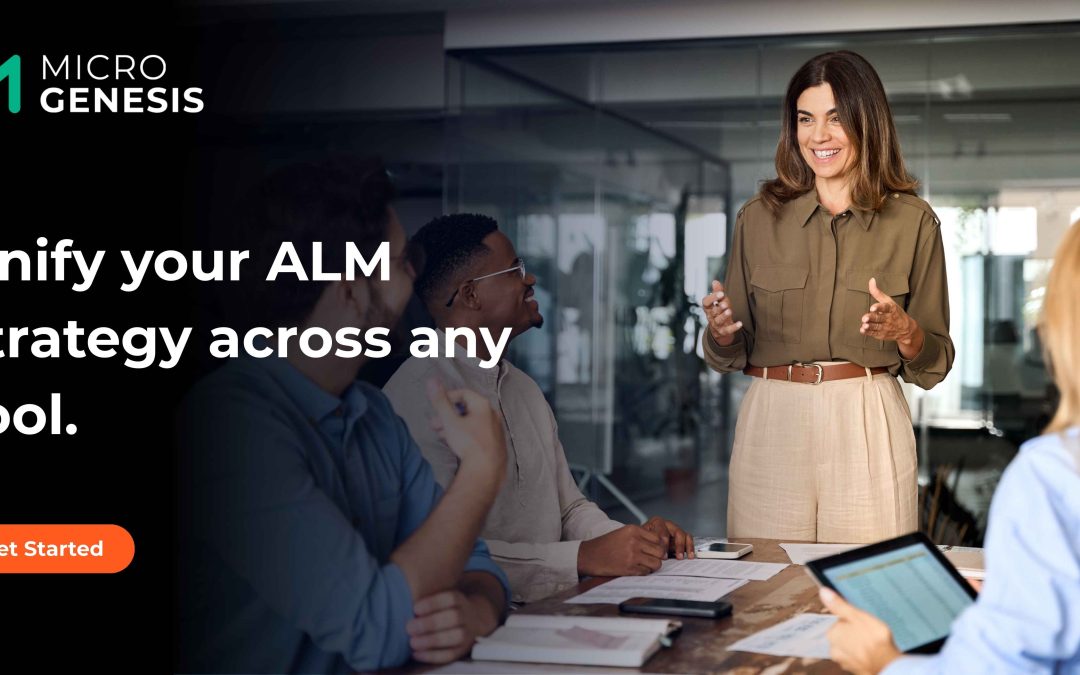 ALM Consulting services